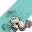 보성냉장 이미지