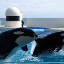 팜프랜드 이미지