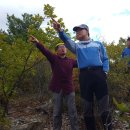 지동리경로당 이미지