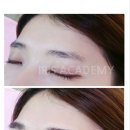 아이리스 아카데미 이미지