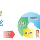 아픈 당신에게 숲을 처방합니다 숲 치유 고혈압 ADHD 도움 이미지