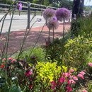 경동복지상사 이미지