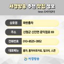 파란홍차 이미지
