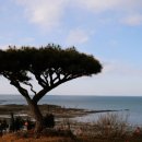 힐스타펜션 이미지