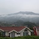 홍차가게안단테 이미지