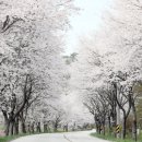 경성유통 이미지