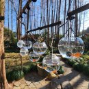 서호미술관 | [상해 여행] 6DAY/상하이 클럽/맥스/ins/항저우/서호/미술관/고속열차/기차/당일치기/상하이 맛집...