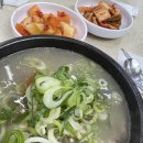 신사동 맛집 영동설렁탕 신사역 24시간 설렁탕 수육 내돈내산 후기