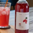 입춘허브