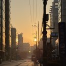 보육교사론 | 휴사평 보육교사 과정 <보육교사론> 12월 마지막 대면수업 후기