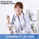 감자동물병원 이미지