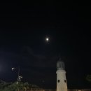 동백섬 | 해운대 동백섬 밤러닝 후기, 마린시티 야경 보며 달리는 부산 최고의 런닝코스