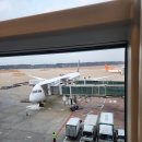 (주)반엔터테인먼트 | 빈탄｜싱가포르 인천 직항 싱가포르항공 SQ607 SQ608 탑승 후기후기~! (특별 기내식 신청, 무료 와이파이)