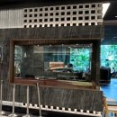 꼬꼬나라 이미지