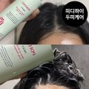 새싹콩허브 | 피디하이 탈모방지 두피샴푸 두피토닉