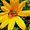 동막1리 마을회관 이미지