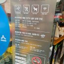 이디야커피(혜화동로터리) 네이버블로그