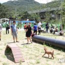 경기중앙동물애견 뉴시스