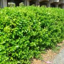 고잔역 2번 출구 이미지