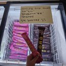 아라동 공영주차장 | 제주 아라동 맛집 제주별밤참치｜두리고급참치 먹고 온 후기