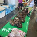 활참소라/반건조 감성돔/활전복/젓갈들판매합니다 이미지