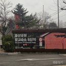 알로이시오기지 작은도서관 | 용산공원 미군기지 반환부지 l 장교숙소 5단지 부분개방 l 예약 불필요, 주차정보