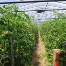 김상배농장 이미지