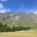 벽산목장 이미지