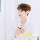 뉴캐스팅