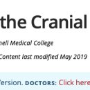 Re:Overview of the Cranial Nerves 이미지