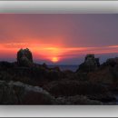 님들축산 이미지