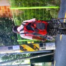 온천천로 이미지