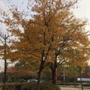 장자호수공원(시민의숲) 이미지