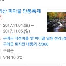 지리산 피아골 단풍축제 2017.11/2~11/12까지 10일간 이미지