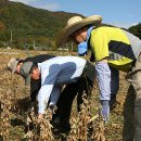 청량2리 마을회관 이미지