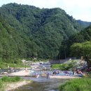 숲과계곡속으로 이미지