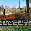 숲안어린이공원 이미지