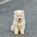 바닷가이솝아저씨네집 이미지