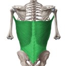 나인원 피트니스 이미지