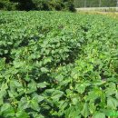 청풍농장 이미지