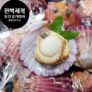 세척 홍가리비 2Kg 3kg 5kg /통영 고성 /지금이 제철/석화/각굴/가리비/통영 성우수산, 홍가리비 2kg (50미내외), 1개 이미지