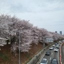 양평1동-4 이미지