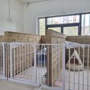 멍's 톡톡 이미지