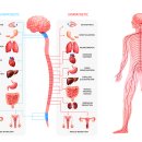 백두한의원 이미지
