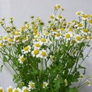 다정마트 이미지