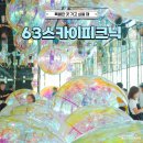 11545-01-63-10 | 63빌딩 전망대 63스카이피크닉 주말 방문 후기, 할인 예매 주차 팁