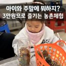 찬샘마을 | 대전 찬샘마을 주말 아이와 가볼 만한 곳 추천 이유는?