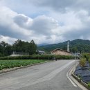 당두농장 티스토리
