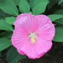 부용쉼터 이미지