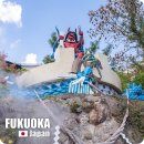 미남커피(동부공원로점) | 유후인 버스투어 예약 벳부 가마도지옥 다자이후텐만구 여행